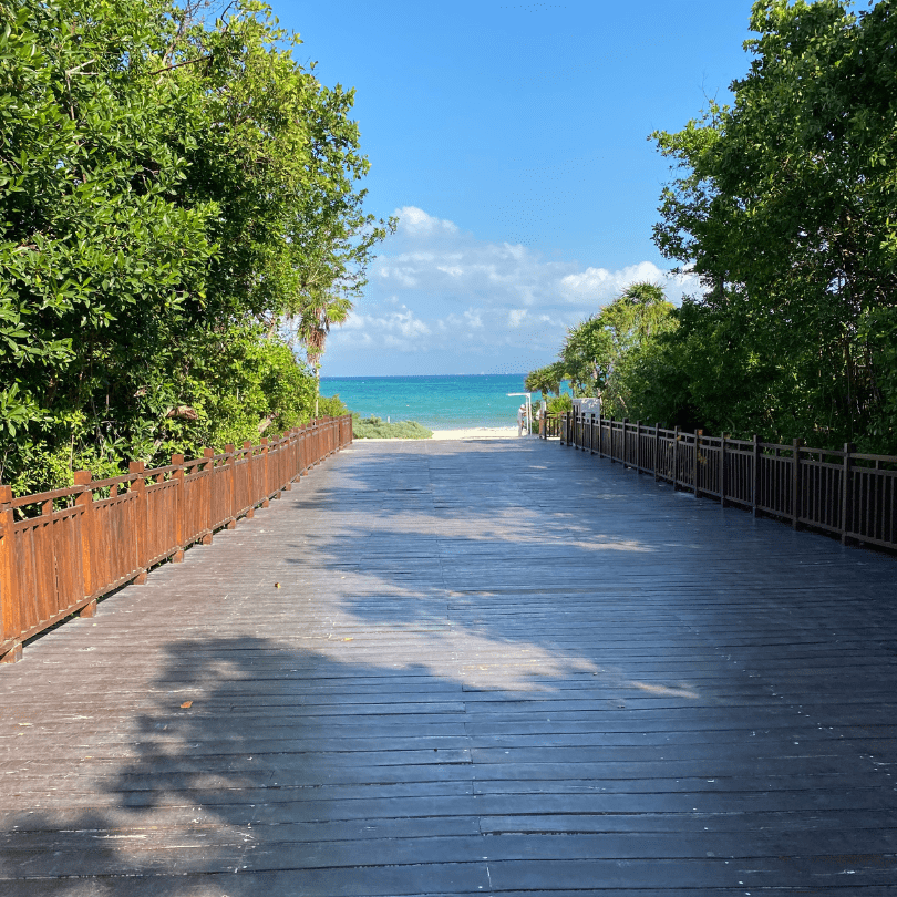 Photo of Paradisus Walkway to the beach