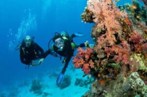 Photo of Scuba Diving