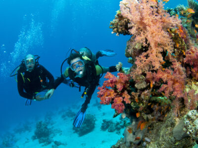 Photo of Scuba Diving