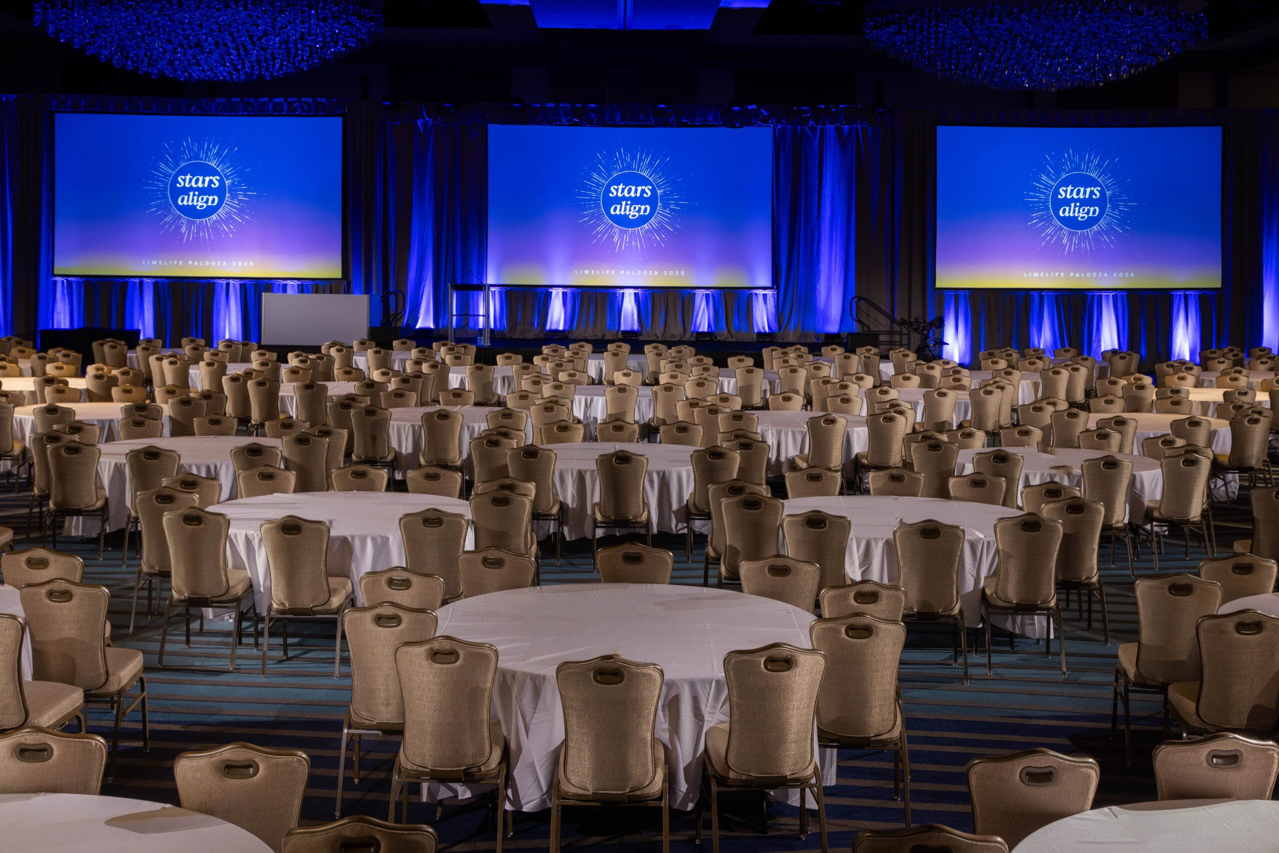 Paloooza2025-20 LimeLife Palooza 2025