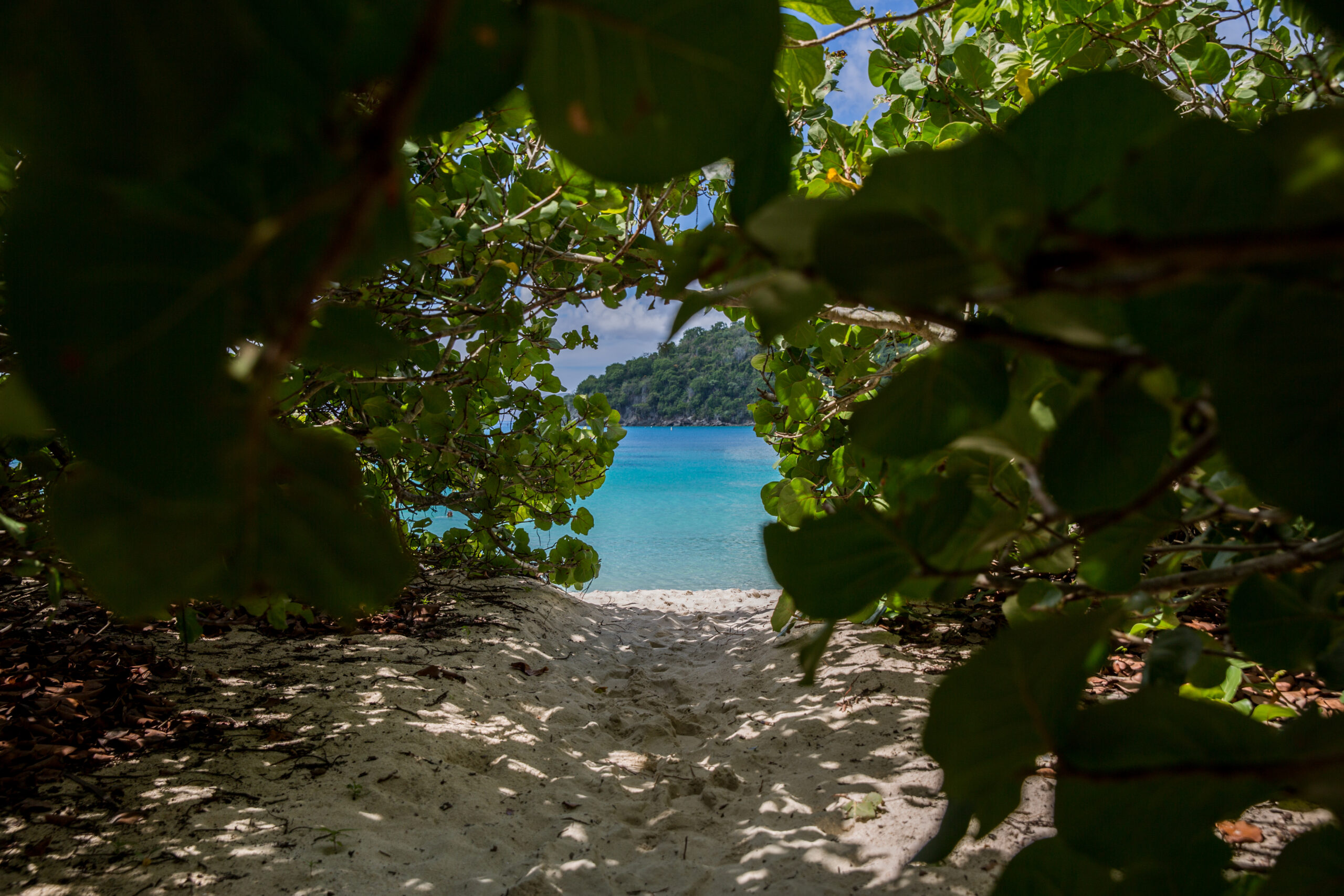 Blue Spark-103 Blue Spark-103