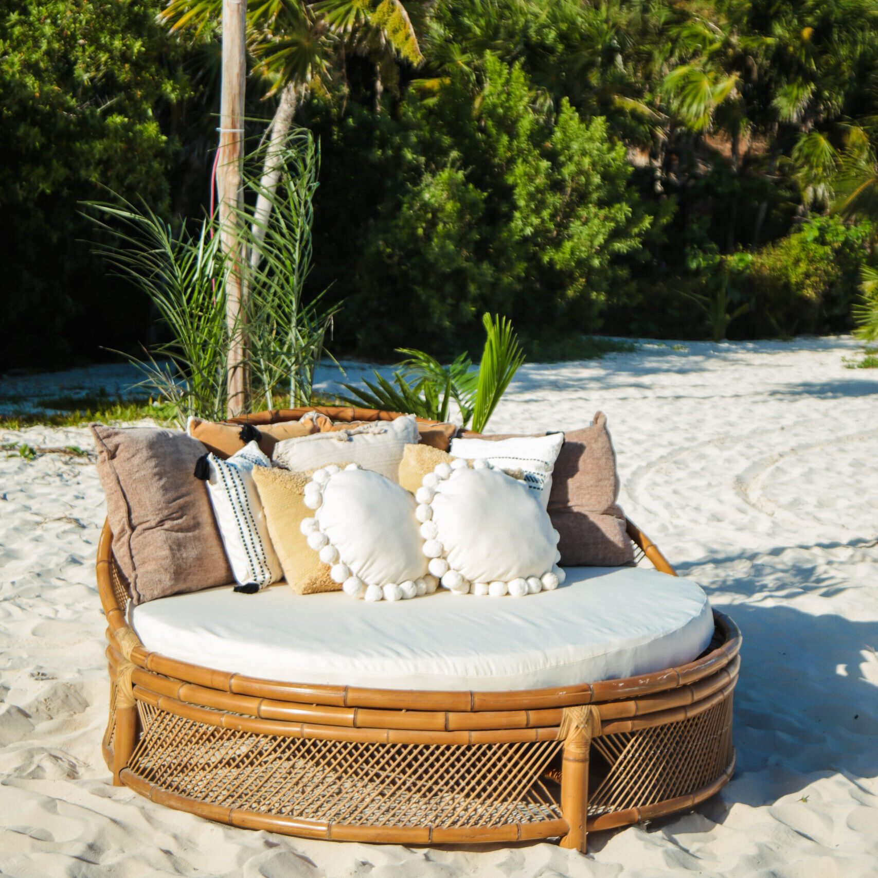 PARADISUS EVENT-11 PARADISUS EVENT-11